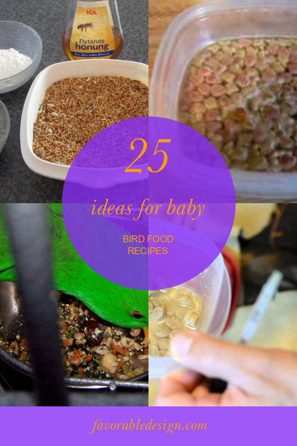 Best 25 Baby Bird Food Recipe Home, Family, Style and Art Ideas